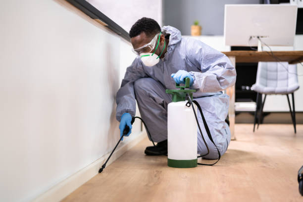 Emergency Pest Control Services in Windermere, FL